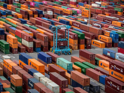 Perusahaan Pelayaran Tolak Biofuel Sawit, Dorong IMO Pilih Bahan Bakar Ramah Lingkungan