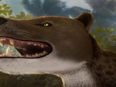 Penemuan Bastetodon, Predator Purba Baru dari Gurun Mesir