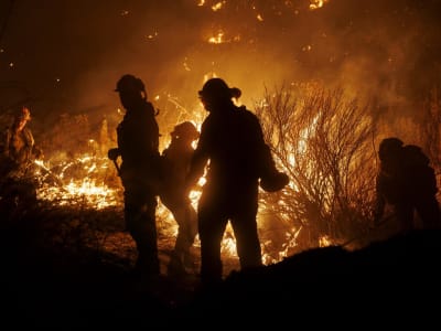 Dampak Pemotongan Anggaran Elon Musk dan Peluang Investasi di Era Energi Bersih