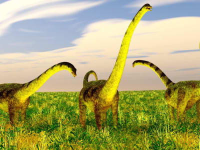 Penemuan Dinosaurus Raksasa Jurassic Baru di Yunnan Tambah Wawasan Evolusi