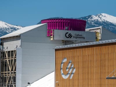 Kenapa Perusahaan Harus Bertindak Sekarang untuk Target Net-Zero dan Penghilangan Karbon