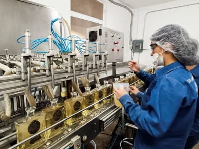 Tarif Impor AS 25% Ancaman Besar Bagi Industri Tequila Meksiko