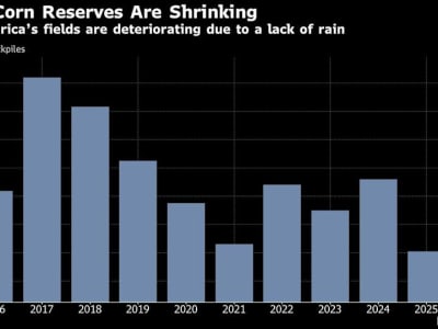 Ketegangan Perdagangan dan Kekeringan Dorong Harga Komoditas Dunia Melonjak