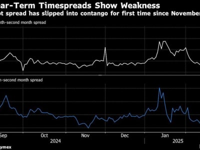 Pasar Minyak Bergejolak, OPEC+ Pertimbangkan Penundaan Kenaikan Pasokan