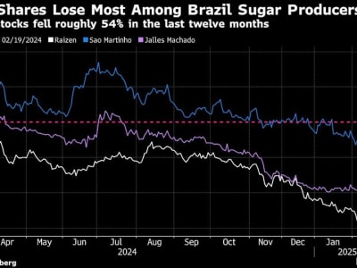 Raizen Berjuang Kurangi Utang dengan Jual Aset dan Tunda Proyek Baru