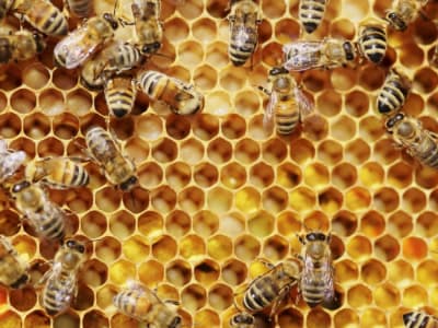 Elon Musk Luncurkan Grok 3: AI Terbaru dengan Penalaran Lebih Kuat dan Akurat