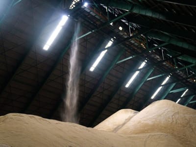 Perubahan Aturan Bursa New York Untuk Lindungi Pembeli Gula Dari Keterlambatan