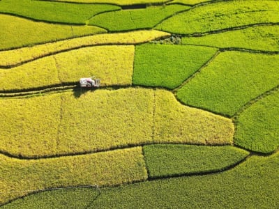 China Perkuat Teknologi Pertanian untuk Amankan Ketahanan Pangan Nasional