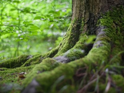 LayerZero Hubungkan Bitcoin ke Ribuan Blockchain Lewat Rootstock