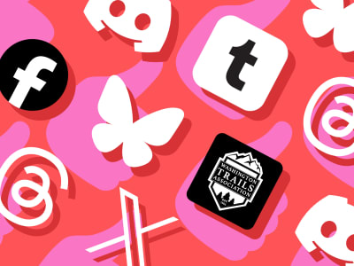 Barang Favorit Pilihan The Verge untuk Hidup dan Kerja Lebih Nyaman