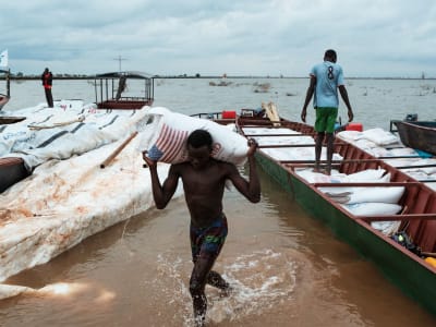 Penutupan Fews Net Picu Krisis Pangan dan Ancaman Keamanan Global