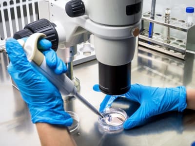 AS Wacanakan Larangan Warga China Akses Laboratorium Nasional Demi Lindungi Riset