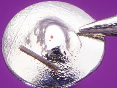 David Lindon Raih Rekor Dunia Patung LEGO Terkecil dengan Karya Mikro