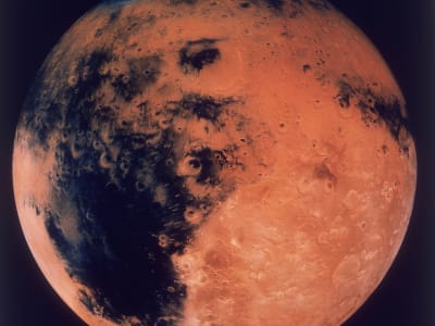 Misi NASA ke Bulan vs Mars: Pilihan Sulit Antara Artemis dan Ambisi SpaceX