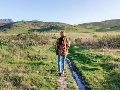 Strategi Penting untuk Hadapi Kekhawatiran PHK di Tahun Ini