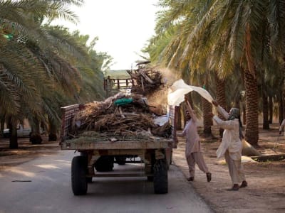 Saudi Investasi Besar di Olam Agri Senilai 4 Miliar Dollar untuk Ketahanan Pangan