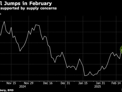 Banjir Melanda Perkebunan Sawit Malaysia, Produksi 2025 Diprediksi Tertekan