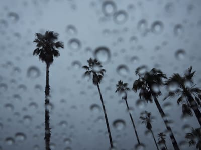 Hujan Deras Membawa Ancaman Banjir dan Longsor Pasca Kebakaran di California