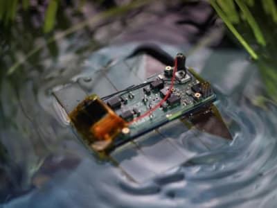 Robot Bawah Air Mini Cepat dan Senyap Terinspirasi Flatworm untuk Ekologi