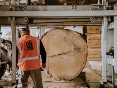 Cara Cambium Mengubah Kayu Limbah Jadi Peluang Bisnis dan Ramah Lingkungan