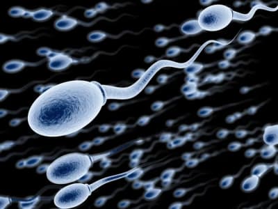 AI dan Robot Mikro Renang Efisien untuk Terapi Medis Masa Depan