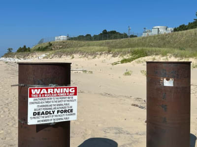 Holtec dan Hyundai Bangun Reaktor Modular Kecil di Palisades, Dorong Kebangkitan Nuklir AS