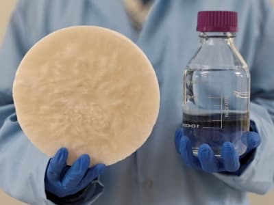 Teknologi Baru Mengubah Biomassa Jadi Air Minum Bersih dari Udara