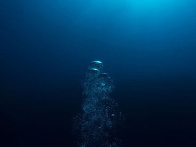 Penemuan Gerakan 'Galloping' Gelembung Buka Peluang Teknologi Baru