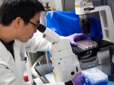 Krisis Dana NIH di Masa Trump Mengancam Penelitian Biomedis Global