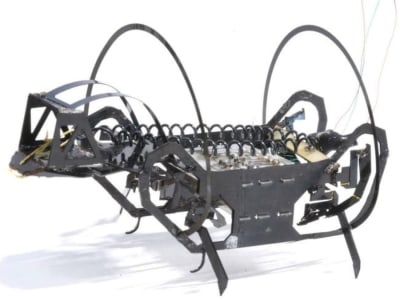 Robot Microrobot Gesit Harvard dengan Lompat Mirip Springtail untuk Penyelamatan