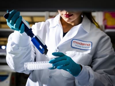 Pemerintah AS Tinjau Kontrak Vaksin Moderna di Tengah Wabah Flu Burung