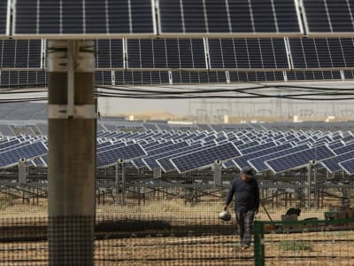 Pertumbuhan Tenaga Surya China Diprediksi Melambat Tahun 2025 Karena Kebijakan Baru