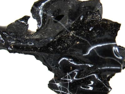 Penemuan Kaca Organik di Otak Korban Letusan Vesuvius 79 M