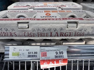 Wabah Flu Burung dan Tuduhan Monopoli Dorong Harga Telur Melonjak