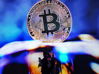 Harga Bitcoin Jatuh 25% Setelah Pelantikan Trump, Apa Penyebabnya?