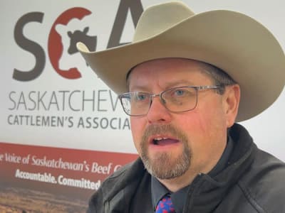 Tarif AS Ancaman Besar, Peternak Sapi Kanada Berhenti Beli dan Produksi Menurun