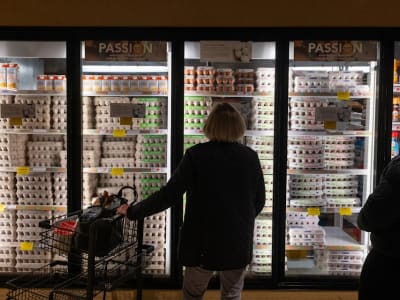 Krisis Telur di AS: Wabah Flu Burung Picu Harga Melonjak dan Saham Peternak Premium Naik