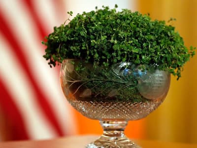 Ancaman Tarif AS Mengancam Ekspor Besar Irlandia ke Amerika Serikat