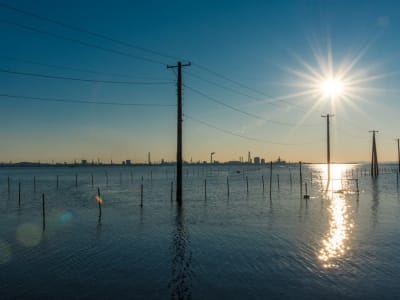 Katalis Murah dari Limbah Kayu dan Urea Tingkatkan Baterai Air Laut