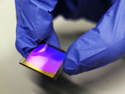 Biosensor Mandiri Deteksi dan Bunuh E. coli untuk Air Minum Aman