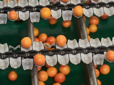 Khula: Marketplace Mobile untuk Petani Afrika Selatan Dukung Inklusi dan Digitalisasi