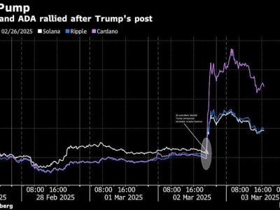 Pengumuman Trump soal Cadangan Kripto Picu Penurunan Harga Mendadak