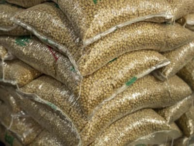 China Terapkan Tarif Tinggi pada Produk Pertanian AS, Ketegangan Meningkat