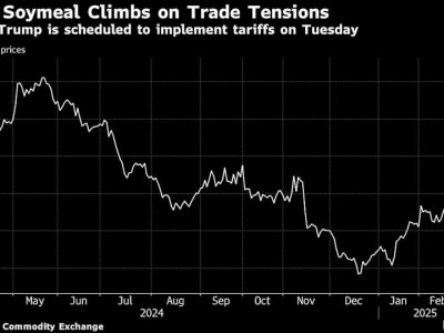 Pasar Saham AS Jatuh Terpukul Ketegangan Perang Dagang dan Tarif Impor Baru