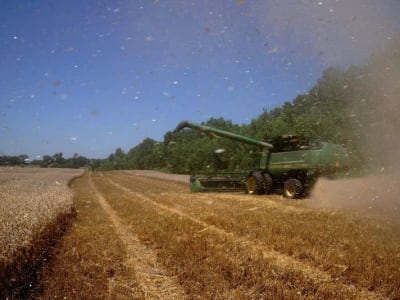 Dampak Tarif AS Terhadap Petani dan Ekspor Pertanian Amerika