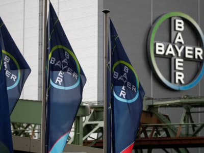 Bayer Perkirakan Tahun 2025 Terberat, Namun Optimis Bangkit Mulai 2026