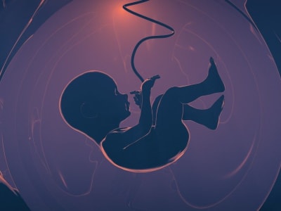 Sistem Kekebalan Janin Lebih Kuat: Peran Ganda dalam Melawan Virus Zika