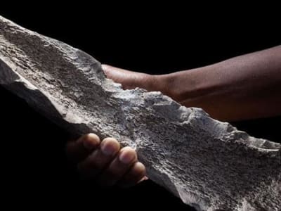 Penemuan Alat Tulang Tertua Ungkap Kecerdasan Manusia Purba 1,5 Juta Tahun Lalu