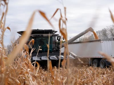 Tarif Baru AS Tekan Petani dan Produsen Daging, Harga Makanan Mengancam Naik