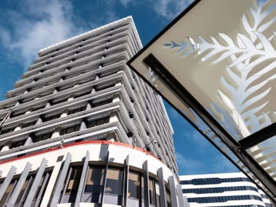 Cari Gubernur Baru: Tantangan Besar di Reserve Bank Selandia Baru Tahun Ini